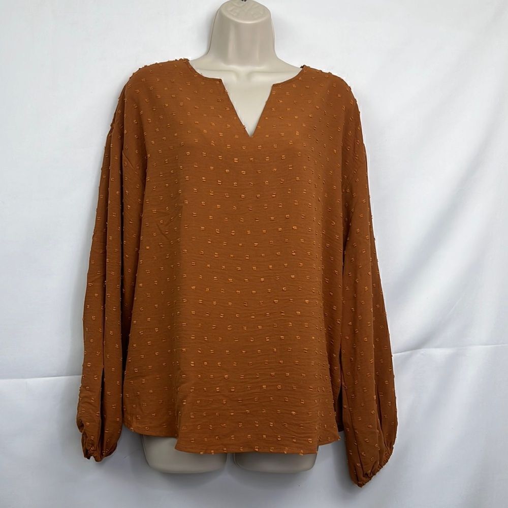 Elesol Pumpkin Spice VNeck long sleeve popover blouse NWT size medium